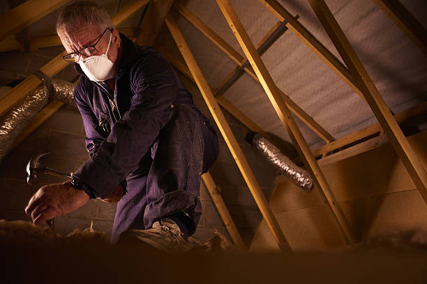 Best DIY Insulation Kits and Guidance in Shady Cove, OR